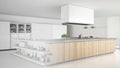Unfinished project of minimalistic professional modern wooden kitchen with accessories, contemporary interior