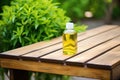 unfinished wooden bench with freshly applied wood oil