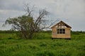 Unfinished wooden house near the tree