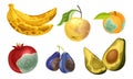 Unfit Fruits with Skin Covered with Stinky Rot Vector Set Royalty Free Stock Photo