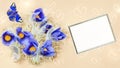 Unfocused background with text frame, butterflies, blooming blue snowdrops in water drops and hearts