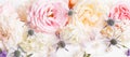 Unfocused blur rose petals, abstract romance background, pastel and soft flower card Royalty Free Stock Photo