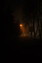 Unfocused shot of night city with street lamps lights bokeh