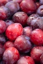 Unfolded berry plum. Lots of plums. Seasonal berry