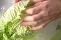 Unfolding salad