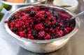 Unfrozen berries Royalty Free Stock Photo