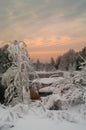 Unfrozen lake in the winter sunset forests