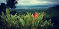 mountain in semarang