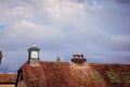 Ungersheim : Storks in their nest on an old traditional roof at the eco-museum of Alsace