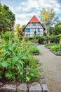 Ungersheim : Green garden with plants and flowers at the Ecomuseum of Alsace.