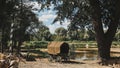 , Ungraded, Canon, C-log. Russian Soviet World War Ii Peasant Cart On River Bank. Wwii Equipment Of Red Army