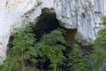 The entrance portal of Unguru Mare cave, Apuseni Mountains, Occidental Carpathians, Transylvania, Romania, Europe.