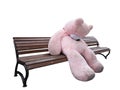 Unhappy plush giant bear on wooden bench isolated on white