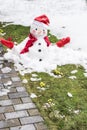 Unhappy snowman in mittens, red scarf and cap is melting  outdoors in sunlight on snowy green grass with small yellow flowers near Royalty Free Stock Photo