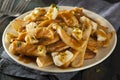 Unhealthy Delicious Poutine with French Fries