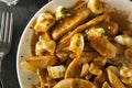 Unhealthy Delicious Poutine with French Fries