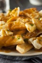 Unhealthy Delicious Poutine with French Fries