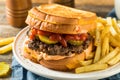 Unhealthy Grilled Cheese Hamburger