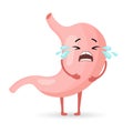 Unhealthy human stomach character is crying and suffering from pain. Anatomy of the digestive system. Vector in flat style