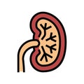 unhealthy kidney color icon vector illustration