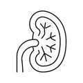 unhealthy kidney line icon vector illustration