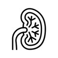 unhealthy kidney line icon vector illustration