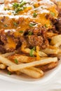 Unhealthy Messy Chili Cheese Fries Royalty Free Stock Photo