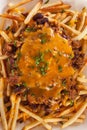 Unhealthy Messy Chili Cheese Fries Royalty Free Stock Photo