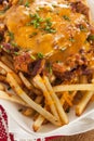 Unhealthy Messy Chili Cheese Fries Royalty Free Stock Photo