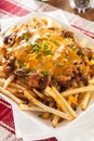 Unhealthy Messy Chili Cheese Fries Royalty Free Stock Photo