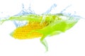 Unhusked Corn Cob Dive with Splashes