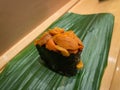 Uni, sea urchin sashimi sushi wrapped by dried seaweed with rice. Famous Japanese sushi