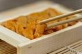 Uni sushi in chopsticks. Sea urchinuni sashimi ,Japanese food Royalty Free Stock Photo