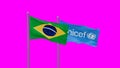 UNICEF and Brazil flag