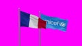 UNICEF and France flag