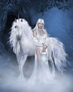 Unicorn and beautiful Fairy Royalty Free Stock Photo