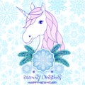 Unicorn with big snowflake