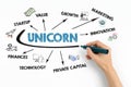 UNICORN, business concept. Chart with keywords and icons on white background Royalty Free Stock Photo
