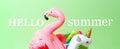 Unicorn, flamingo and pineapple swim tube on green background. Inflatable unicorn, flamingo and pineapple