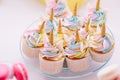 Unicorn fondant cupcakes frosting with butter cream pastel color served on transparent plate Royalty Free Stock Photo