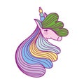 unicorn head rainbow hair