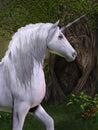 Unicorn Horse