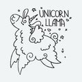 Unicorn Llama. Cute horned fluffy alpaca. Funny smiling cozy animal