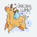 Unicorn Llama. Cute horned fluffy alpaca. Funny smiling cozy animal