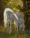 Unicorn Mare Bonding Royalty Free Stock Photo