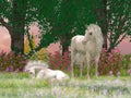 Unicorn Meadow with Pink and Purple Flowers