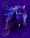 Unicorn night starry sky