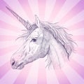 Unicorn profile portrait graphic vector illustration