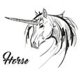 Unicorn sketch icon. Vector magic or mystic fairy horse