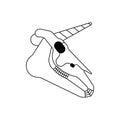 Unicorn skull isolated. Magic horse with horn cranium. Vector illustration